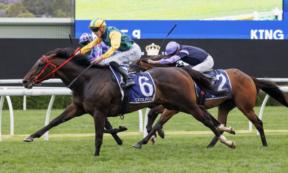 来了急需的 来了急需的