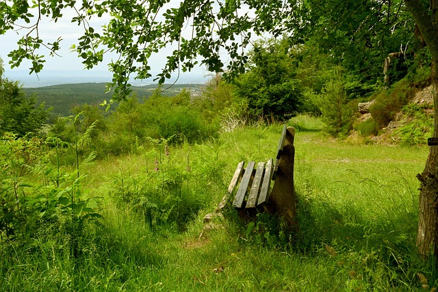 往往可以改 往往可以改