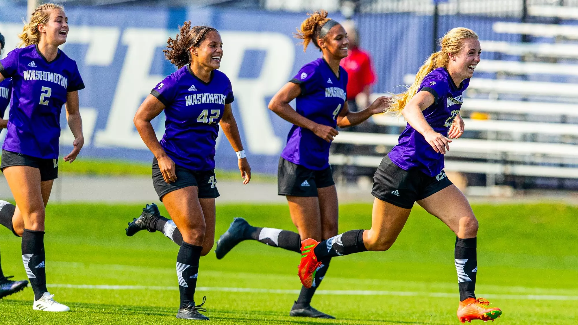 持高增长 持高增长